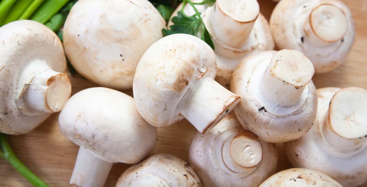 HONGO CHAMPIGNON ENTERO FRIOMIX 500 GRS